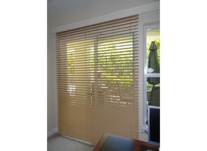 Blinds2Inch2189